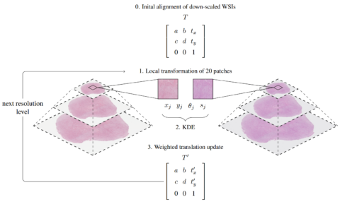 Towards entry "Two papers from our group at COMPAY (MICCAI ’21) and one paper at CDPath (ICCV ’21)"