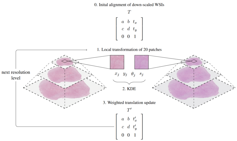 Two papers from our group at COMPAY (MICCAI ’21) and one paper at CDPath (ICCV ’21)